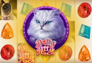 Pretty Kitty